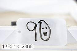 13buck_2368 proof