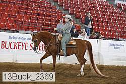 13buck_2369 proof