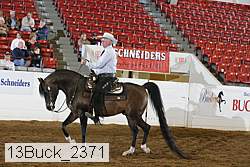 13buck_2371 proof