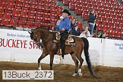 13buck_2372 proof