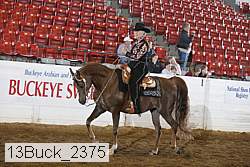 13buck_2375 proof