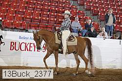 13buck_2377 proof