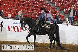 13buck_2378 proof