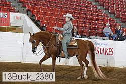 13buck_2380 proof