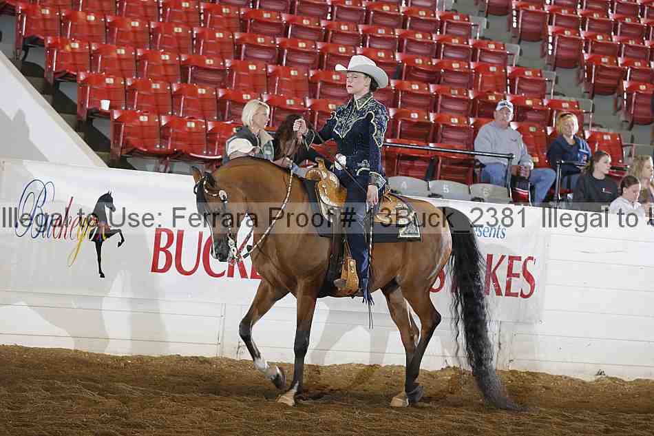 Proof 13buck_2381