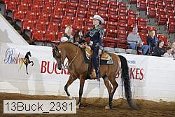 13buck_2381 proof