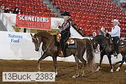 13buck_2383 proof