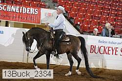 13buck_2384 proof