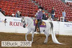 13buck_2385 proof