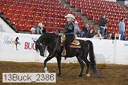 13buck_2386 proof