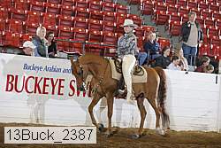 13buck_2387 proof