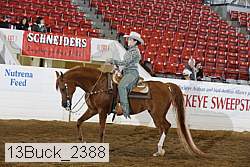 13buck_2388 proof