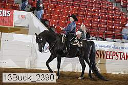 13buck_2390 proof