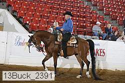 13buck_2391 proof