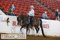 13buck_2392 proof