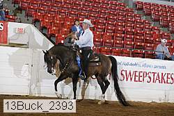13buck_2393 proof