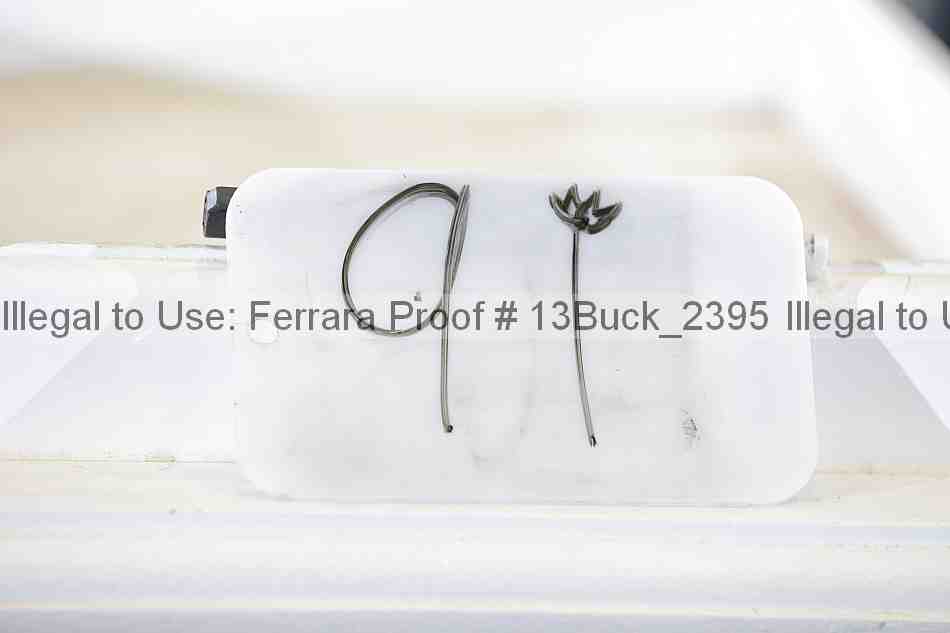 Proof 13buck_2395