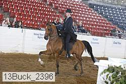 13buck_2396 proof