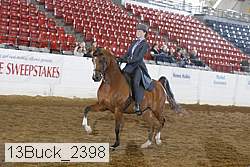 13buck_2398 proof