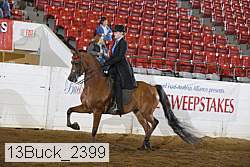 13buck_2399 proof