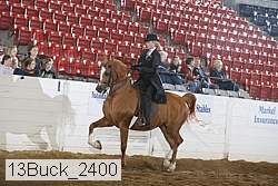 13buck_2400 proof