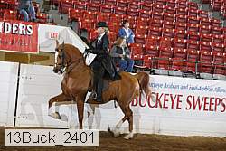 13buck_2401 proof