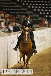 13buck_2404 proof