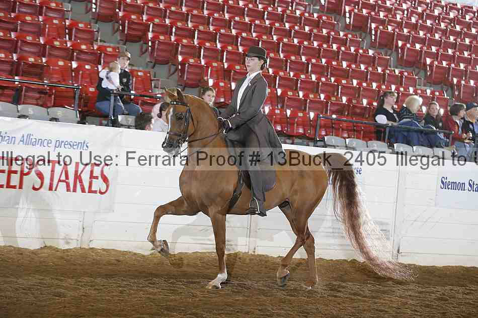 Proof 13buck_2405