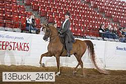 13buck_2405 proof