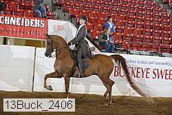 13buck_2406 proof