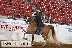 13buck_2407 proof