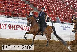 13buck_2408 proof