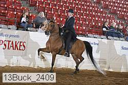 13buck_2409 proof
