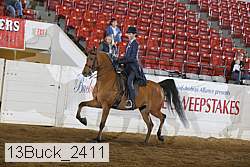 13buck_2411 proof