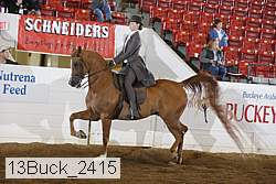13buck_2415 proof