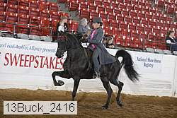 13buck_2416 proof
