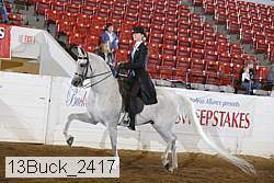 13buck_2417 proof