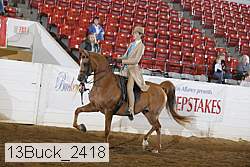 13buck_2418 proof