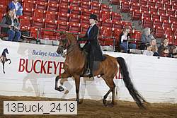 13buck_2419 proof