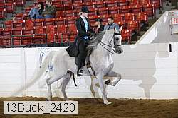 13buck_2420 proof