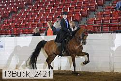 13buck_2421 proof