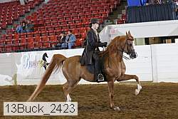 13buck_2423 proof