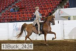 13buck_2424 proof