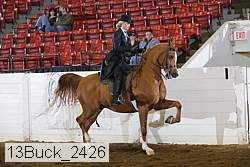13buck_2426 proof
