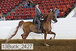 13buck_2427 proof