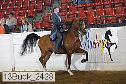 13buck_2428 proof