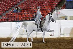 13buck_2429 proof