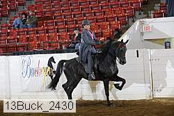 13buck_2430 proof