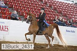 13buck_2431 proof