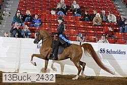 13buck_2432 proof
